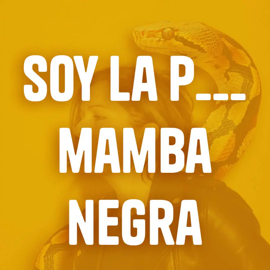 Soy la P____ Mamba Negra. Universo creativo y disruptivo de diseño gráfico y branding de La Mamba Negra.